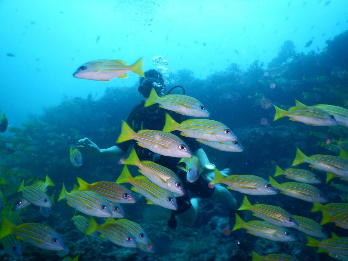 Ithaa Dhigurah Maldives דהיגורה מראה חיצוני תמונה